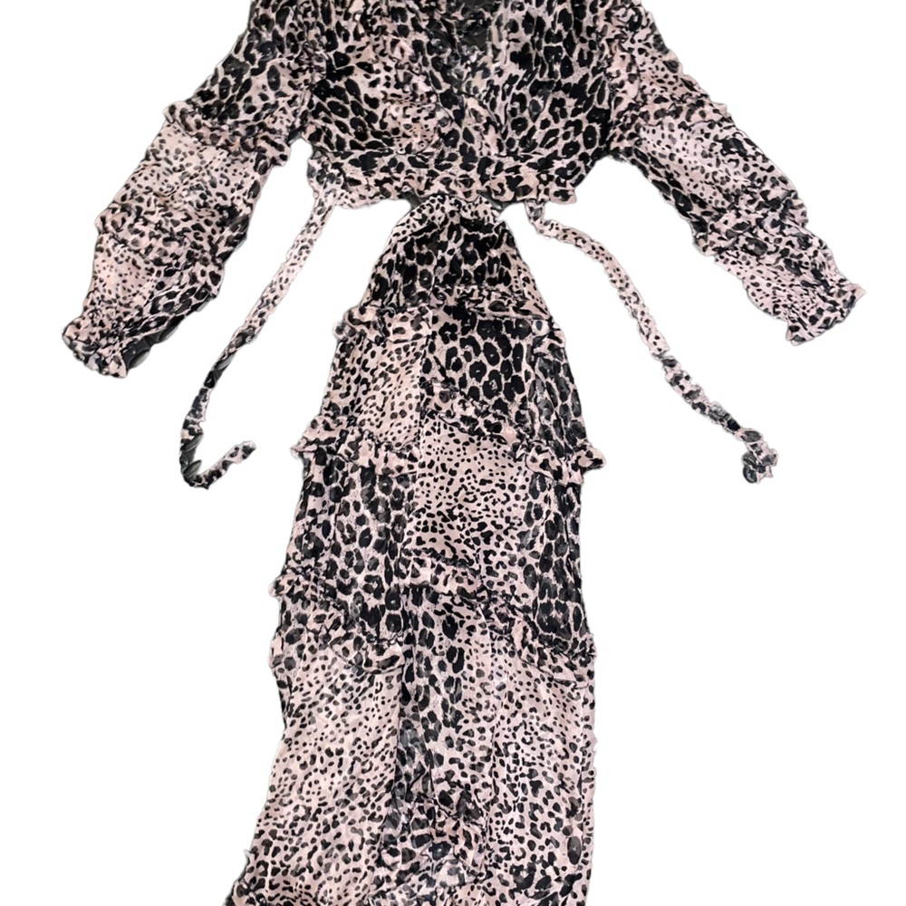 Toxic Envy Boutique Leopard Dress